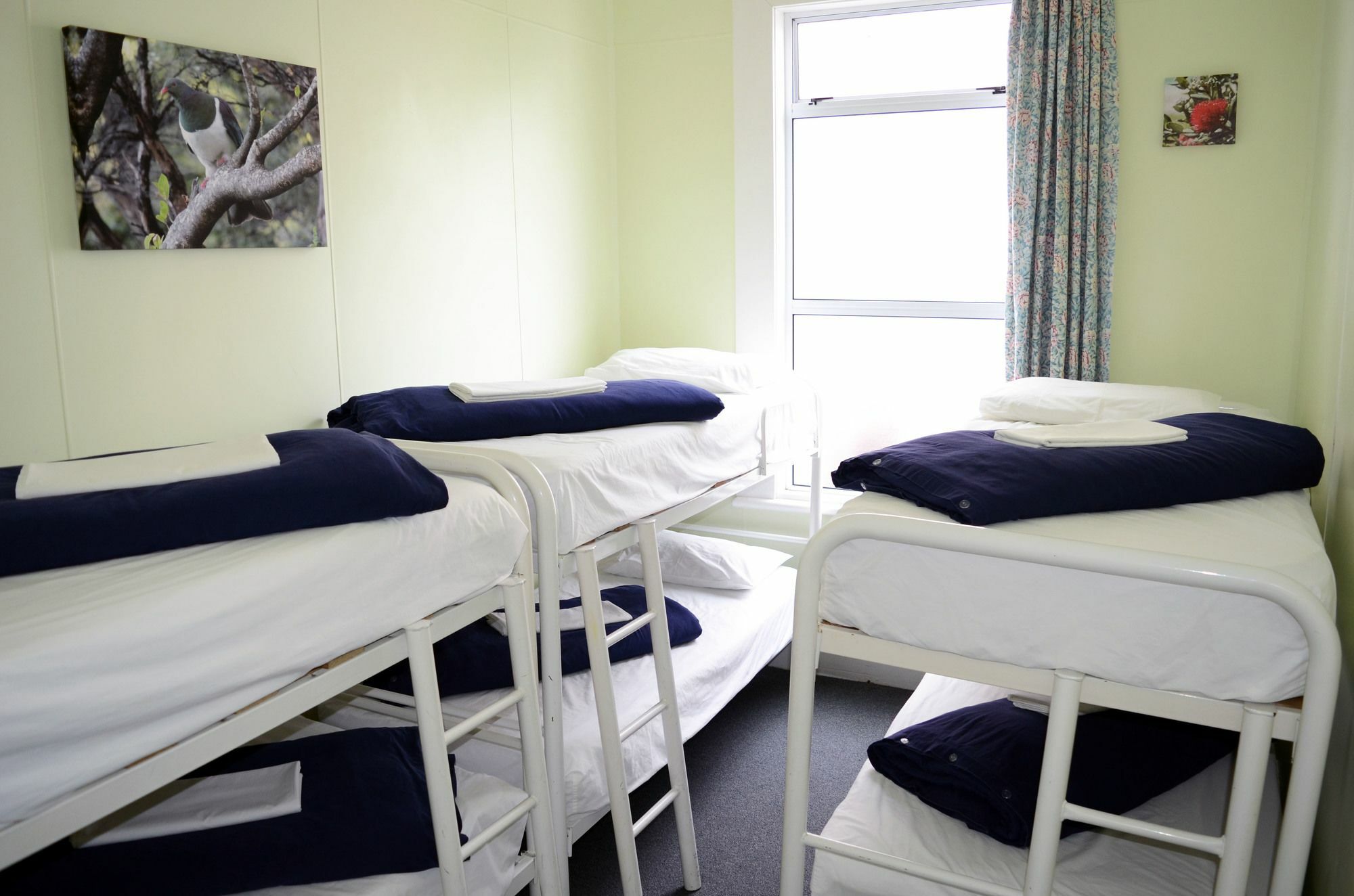 Braemar House B&B And Yha Hostel Уангануй Екстериор снимка